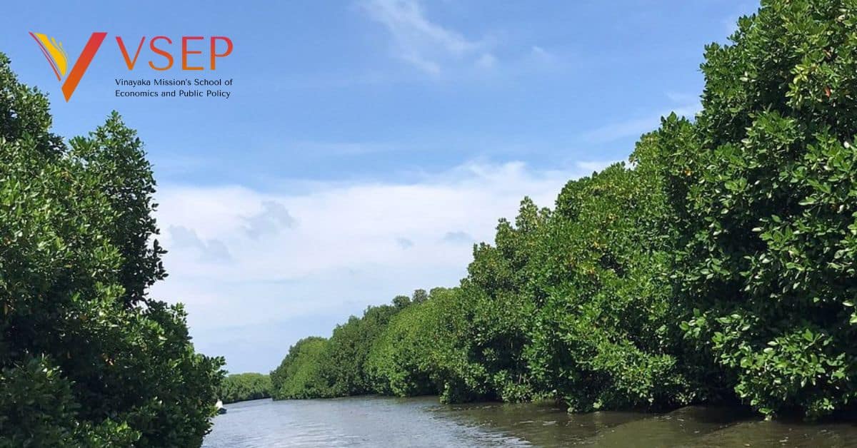 The-Observations-during-the-Field-Visit-to-Pichavaram-Mangroves